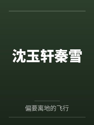 沐夜王语嫣封面