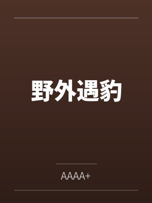 四人成欢封面