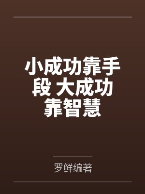 王睿吴大哥封面