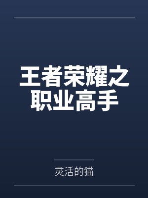 风月辞封面